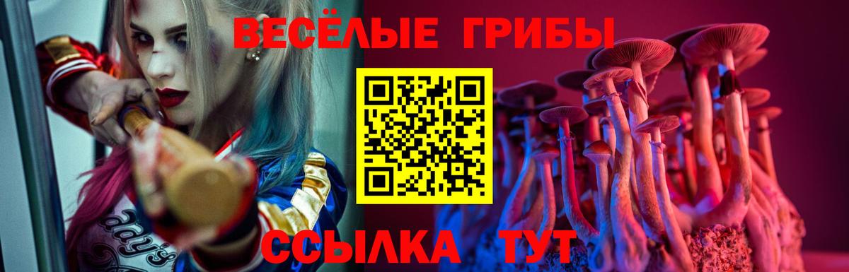 Кыштым  Галлюциногенные грибы Magic Shrooms  Вход с VPN  Галлюциногенные грибы MAGIC MUSHROOMS 